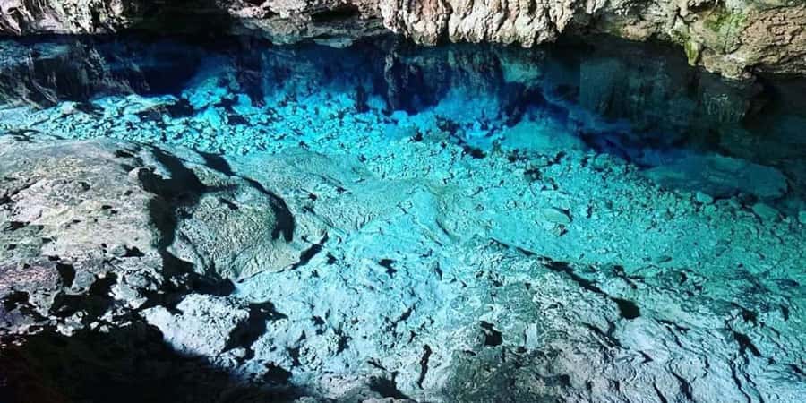 From Zanzibar: Starfish, Blue Lagoon, & The Rock Restaurant - The private boat changes the day