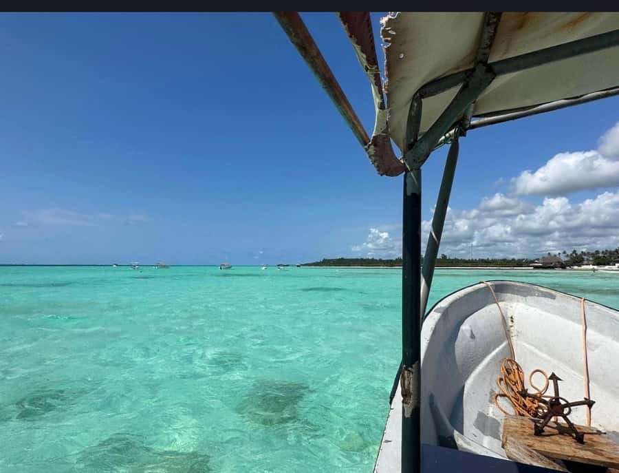 From Zanzibar: Starfish, Blue Lagoon, & The Rock Restaurant - Should you book this Zanzibar tour?