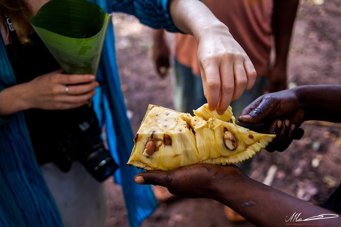 Fruits & Spices Adventure - Key points to know before booking