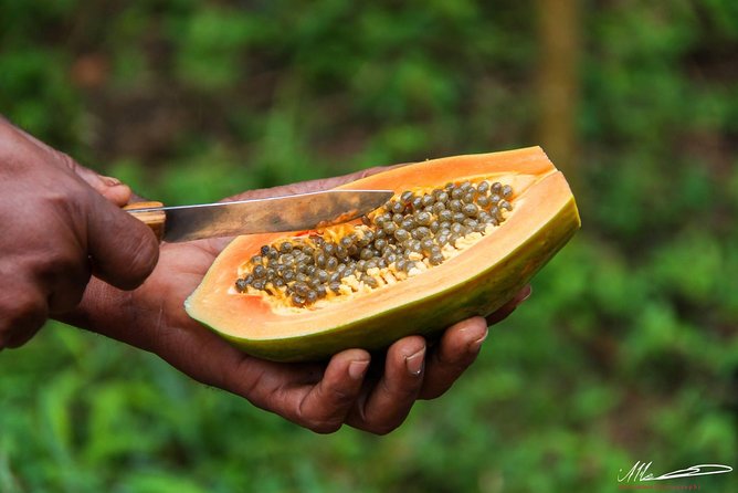 Fruits & Spices Adventure - Who will enjoy this spice tour most