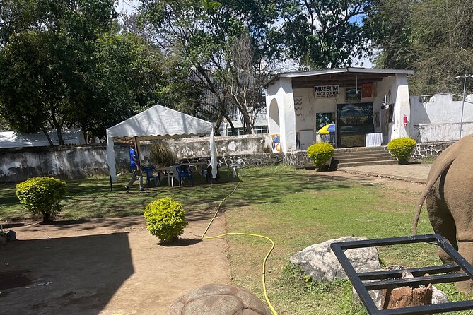 Full Day Arusha City Tour - Shopping with care at Maasai Market