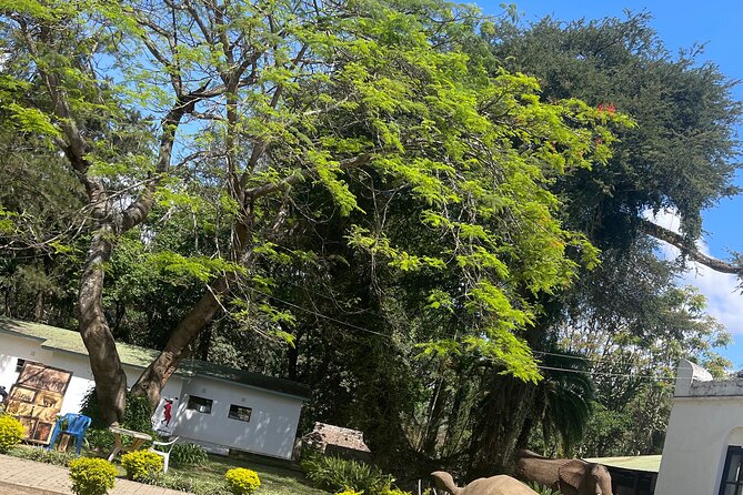 Full Day Arusha City Tour - Following Tanzanite from mine to finished stone