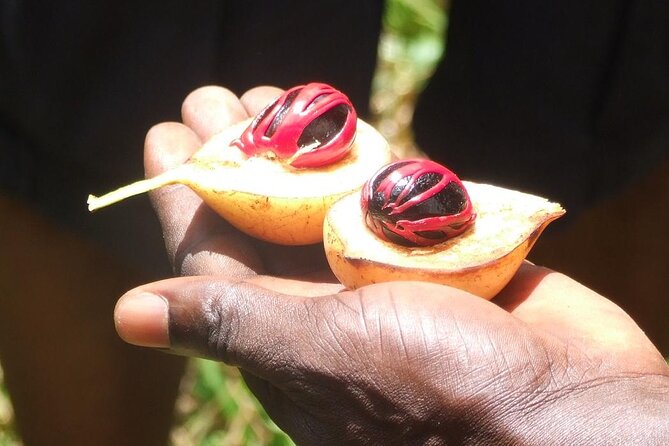 Full-Day Guided private Dolphins tour+ Monkeys + Stone town &spice Farm Zanzibar - Tangawizi Spice Farm and the reason for Zanzibar’s nickname