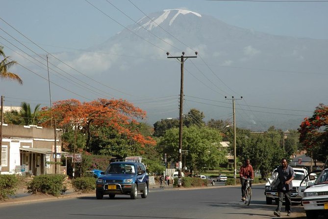 Full-Day Moshi Private Forest Walk and Local Market Tour - Key things to know before booking