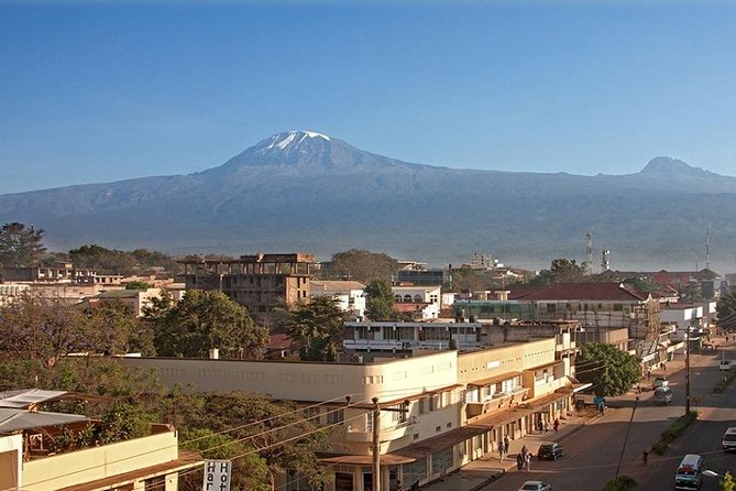 Full-Day Moshi Private Forest Walk and Local Market Tour - Starting in Moshi beneath Kilimanjaro