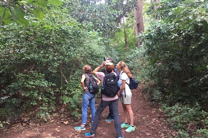 Full-Day Moshi Private Forest Walk and Local Market Tour - Should you book this tour?