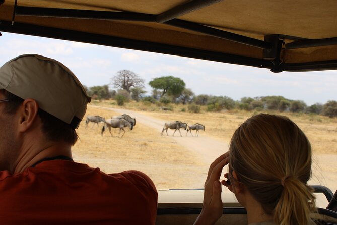 Full-Day Ngorongoro Crater private tour - Why Ngorongoro works so well as a one-day safari