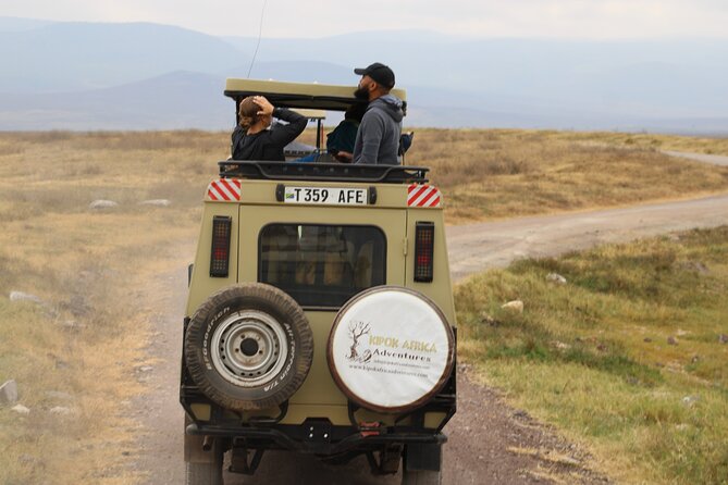 Full-Day Ngorongoro Crater private tour - A picnic lunch inside the park