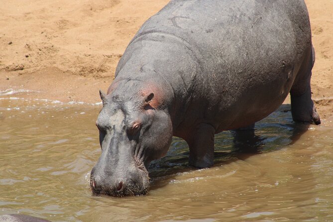 Full-Day Ngorongoro Crater private tour - Who this day trip suits best