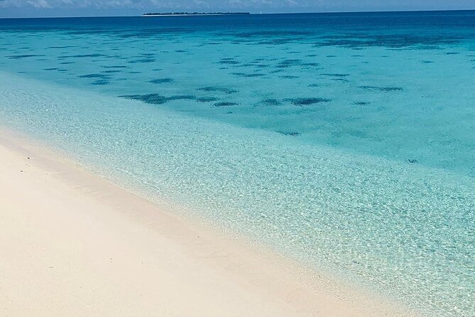 Full-day Prison Island and Nakupenda Sandbank with Lunch buffet - Stone Town from the road and waterfront