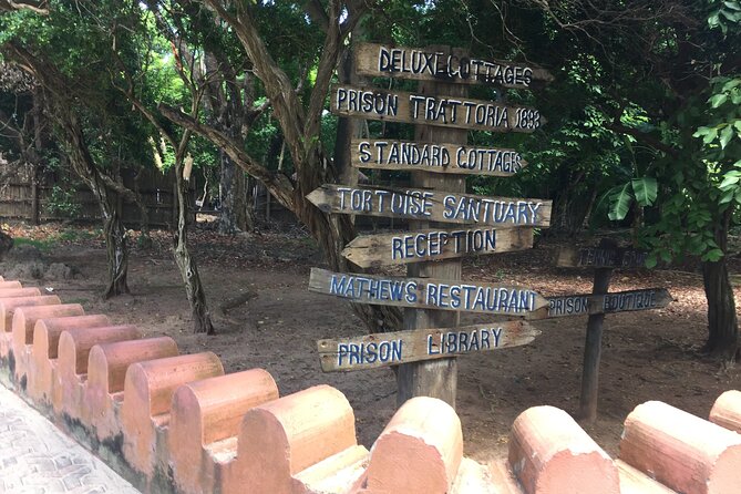 Full-day Prison Island, Nakupenda and Stone Town Tour with Lunch Buffet - What the $136.99 price really covers