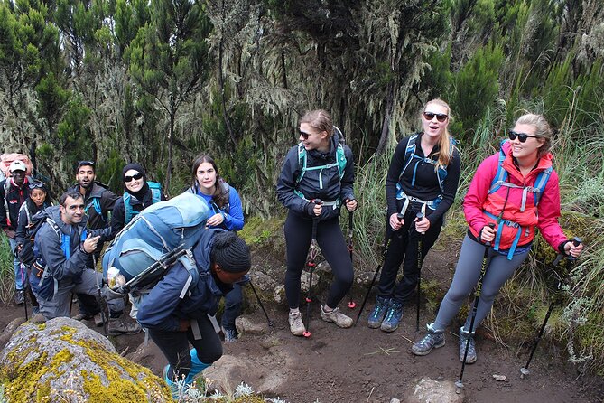 Full Day Private Hiking Tour to Kilimanjaro Mountain - The rainforest section of the Marangu Route