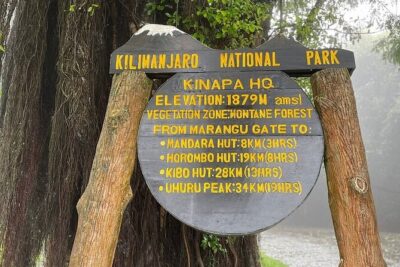 Full Day Private Hiking Tour to Kilimanjaro Mountain