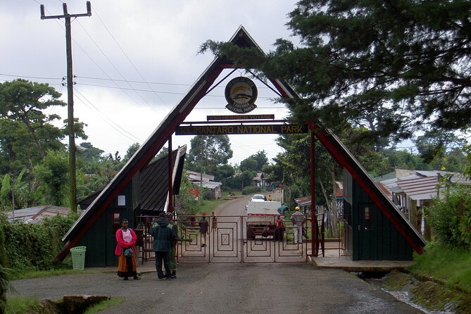 Full Day Private Hiking Tour to Kilimanjaro Mountain - What the $250 price really buys