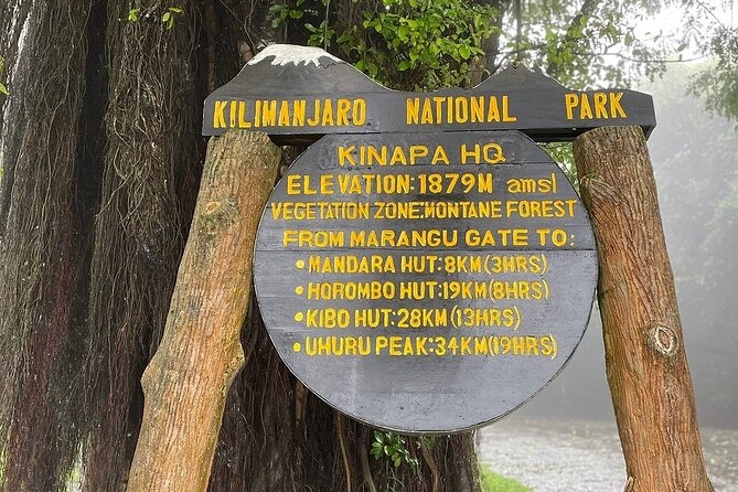 Full Day Private Hiking Tour to Kilimanjaro Mountain - The early drive from Moshi or Arusha