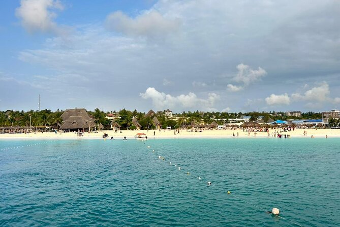 Full Day Private Mnemba Island + Turtles Aquarium & Kendwa Beach - Meeting sea turtles at Baraka Natural Aquarium