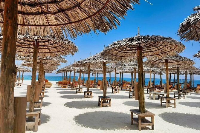 Full Day Private Mnemba Island + Turtles Aquarium & Kendwa Beach - Finishing at Kendwa Beach