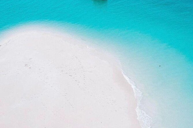 Full Day Private Mnemba Island + Turtles Aquarium & Kendwa Beach - What to bring and what to budget for