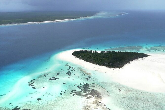 Full Day Private Mnemba Island + Turtles Aquarium & Kendwa Beach - Snorkeling near Mnemba’s coral reefs