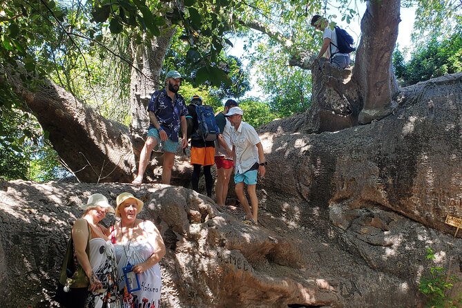 Full Day Private Safari Blue Sea Adventure in Zanzibar - Swimming in the mangrove lagoon