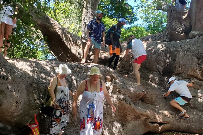 Full Day Private Safari Blue Sea Adventure in Zanzibar - What the $130 price really covers