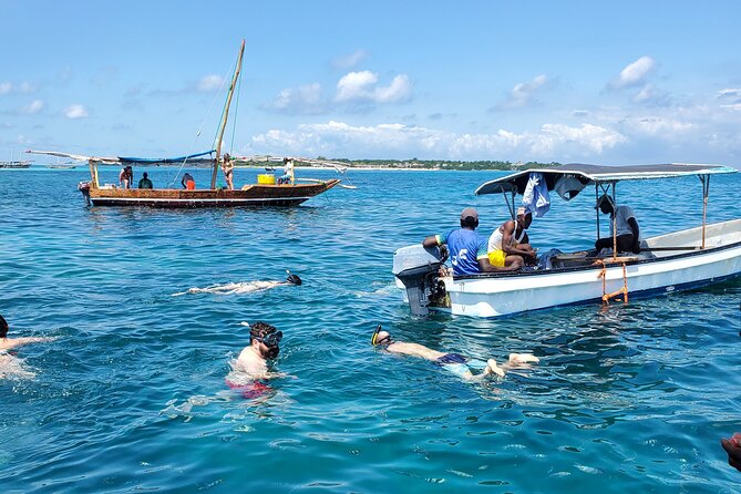 Full Day Private Safari Blue Sea Adventure in Zanzibar - Private activity or shared picnic boat?