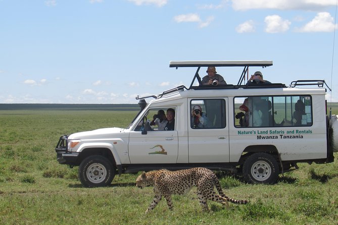 Full-Day Private Serengeti Safari from Mwanza - Ten hours among Serengeti’s wildlife