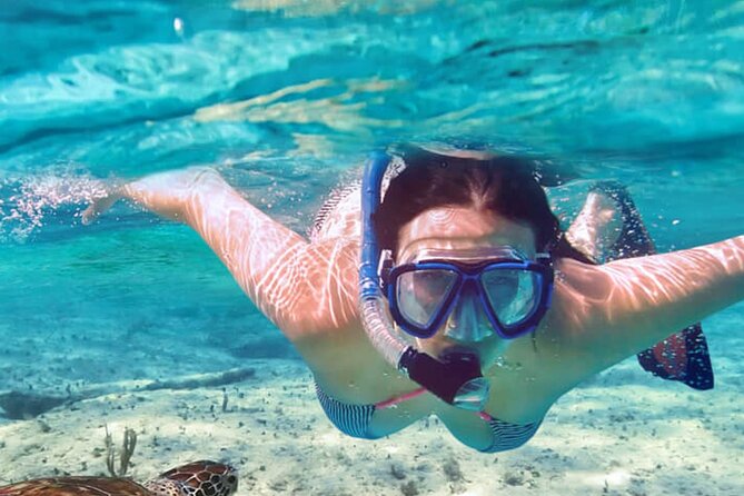 Full - Day Private Zanzibar Tour with dolphins & Sunset Beach - Kendwa Beach and the promised sunset