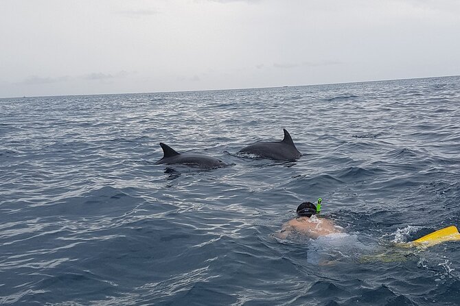 Full - Day Private Zanzibar Tour with dolphins & Sunset Beach - How the $135 price works for a private day