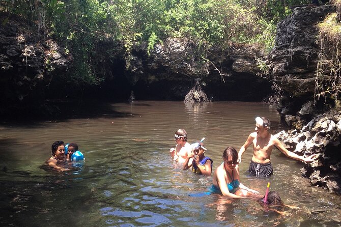 Full - Day Private Zanzibar Tour with dolphins & Sunset Beach - Baraka Natural Aquarium and Nungwi