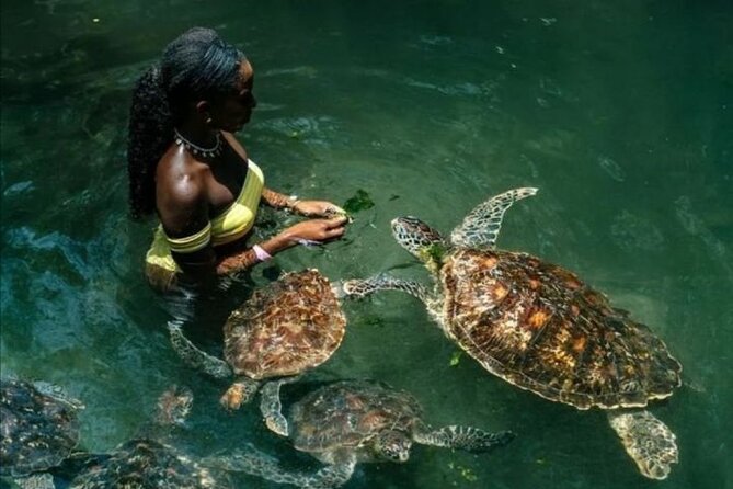 Full Day Private Zanzibar Tour with Sunset Beach - Key points at a glance
