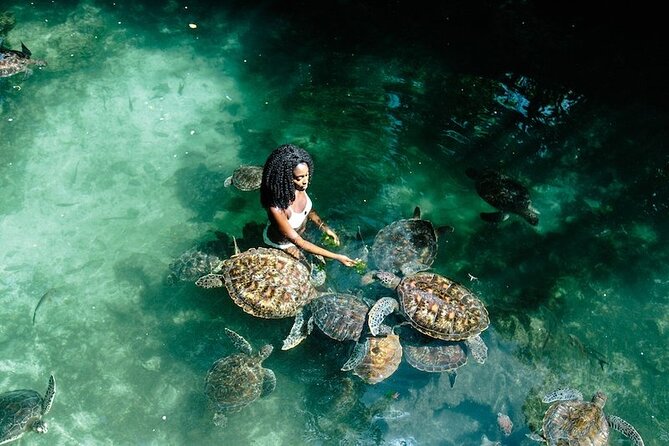 Full Day Private Zanzibar Tour with Sunset Beach - What this Zanzibar day actually gives you