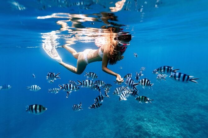 Full Day Private Zanzibar Tour with Sunset Beach - Cancellation and final booking advice