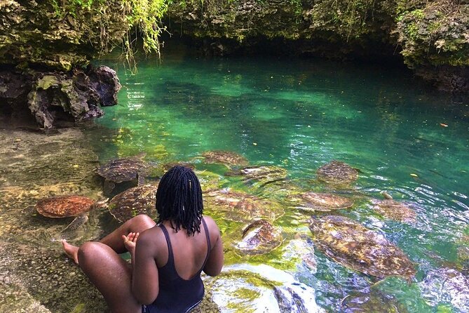 Full Day Private Zanzibar Tour with Sunset Beach - Baraka Natural Aquarium and the green sea turtles