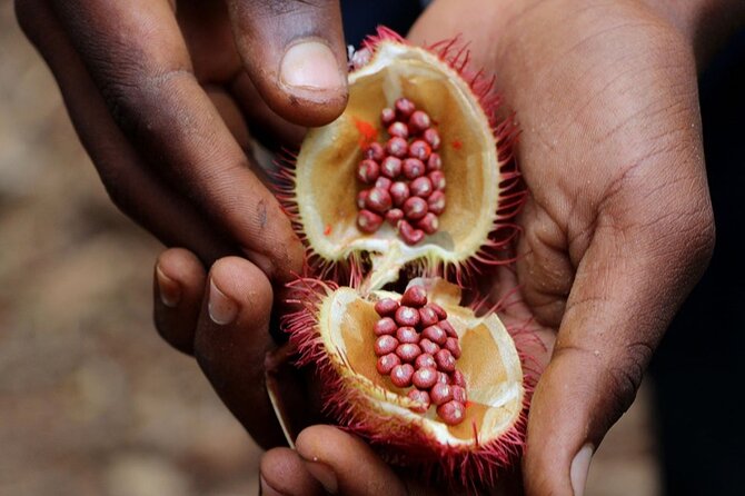 Full Day Private Zanzibar Triple Delight Tour - Darajani Bazaar and Tippu Tip’s House