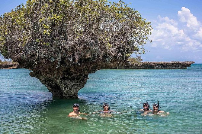 Full-day Safari Blue Trip in Zanzibar with Lunch buffet - Key points at a glance