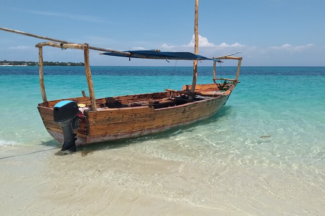 Full-day Safari Blue Trip in Zanzibar with Lunch buffet - Coral reef snorkeling near Fumba