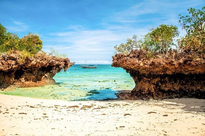 Full-day Safari Blue Trip in Zanzibar with Lunch buffet - The mangrove lagoon’s calm final swim
