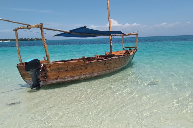 Full-day Safari Blue Trip in Zanzibar with Lunch buffet - Returning to Fumba and your hotel