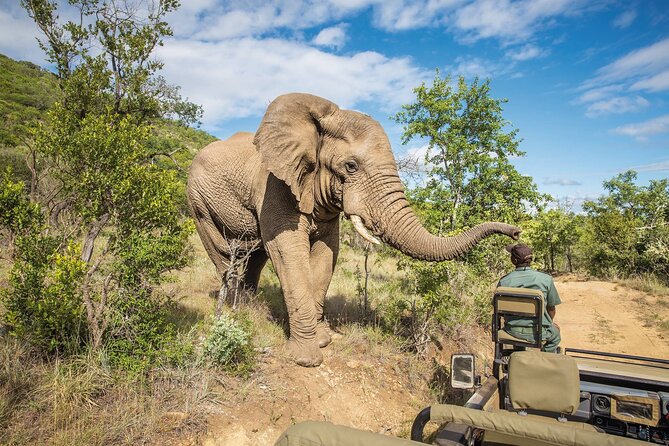 Full Day Safari to Mikumi National Park from Zanzibar with Lunch - Is $3,000 per person good value?