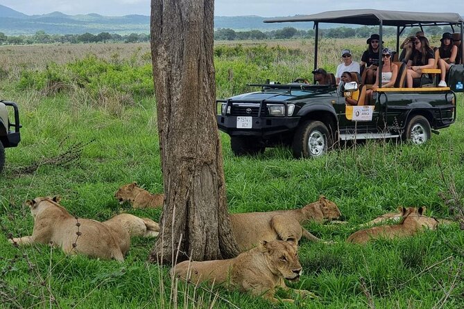 Full-Day Safari Tour from Mikumi National Park of Zanzibar - Key points to know before booking