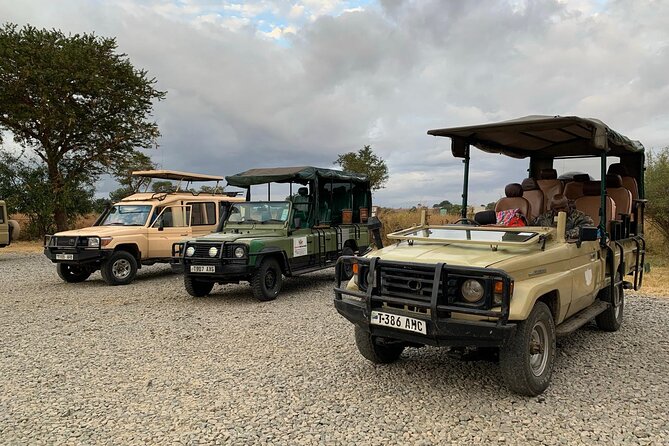 Full-Day Safari Tour from Mikumi National Park of Zanzibar - A few hours of driving, then lunch