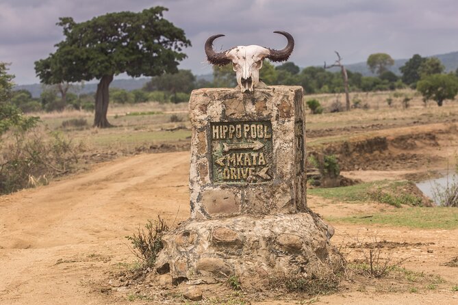 Full-Day Safari Tour from Mikumi National Park of Zanzibar - The shared group and the question of comfort
