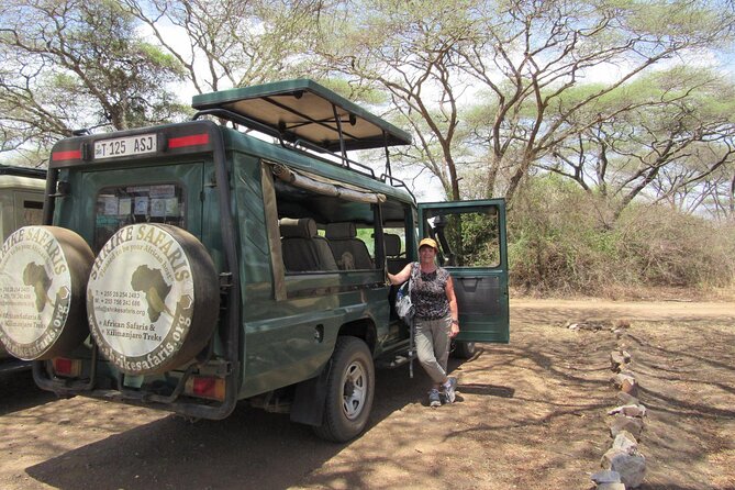Full-Day Serengeti Tour from Mwanza - What the $498 price covers