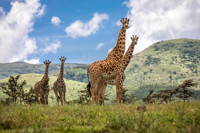 Full Day To Arusha National Park - Why Arusha National Park deserves a place on your schedule