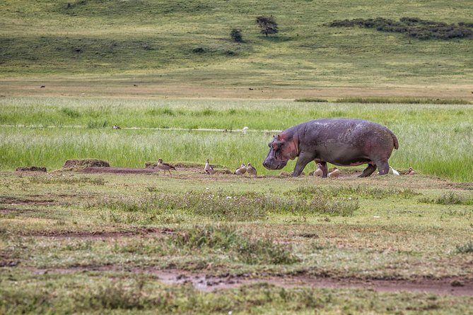 Full Day To Arusha National Park - At the Arusha National Park gate