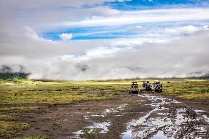 Full Day To Arusha National Park - The walking safari with an armed ranger