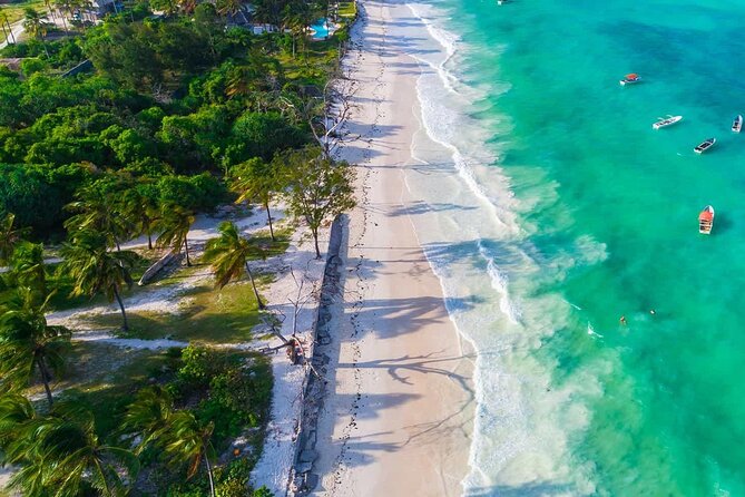 Full-day Tour Mnemba Jozani Forest Kuza Cave Paje Beach The Rock - A busy Zanzibar day that covers four different worlds