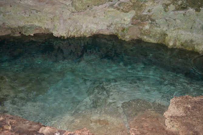 Full-day Tour Mnemba Jozani Forest Kuza Cave Paje Beach The Rock - The Rock: a memorable final view, lunch at your own cost