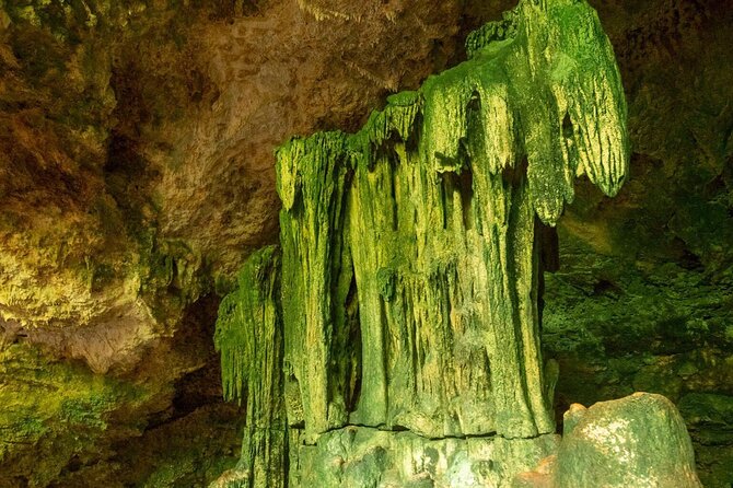 Full-day Tour Mnemba Jozani Forest Kuza Cave Paje Beach The Rock - Mnemba: three hours in Zanzibar’s clearest water